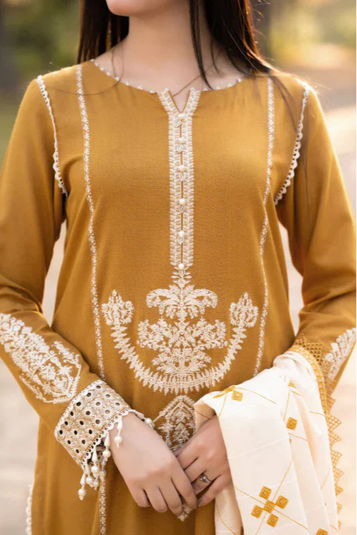 DFW-1001 A Sling Embroidery 3PC Dhanak Suit