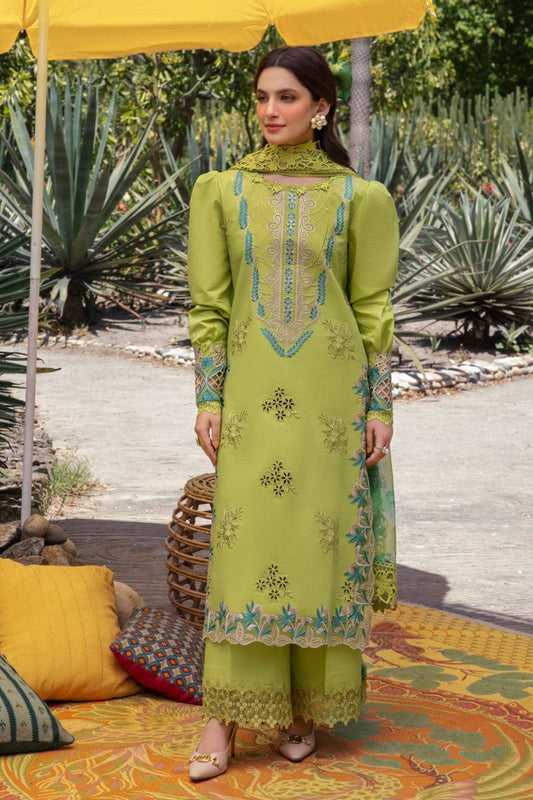 DFW-1238 Rang Rasiya Embroidery 3PC Dhanak Suit