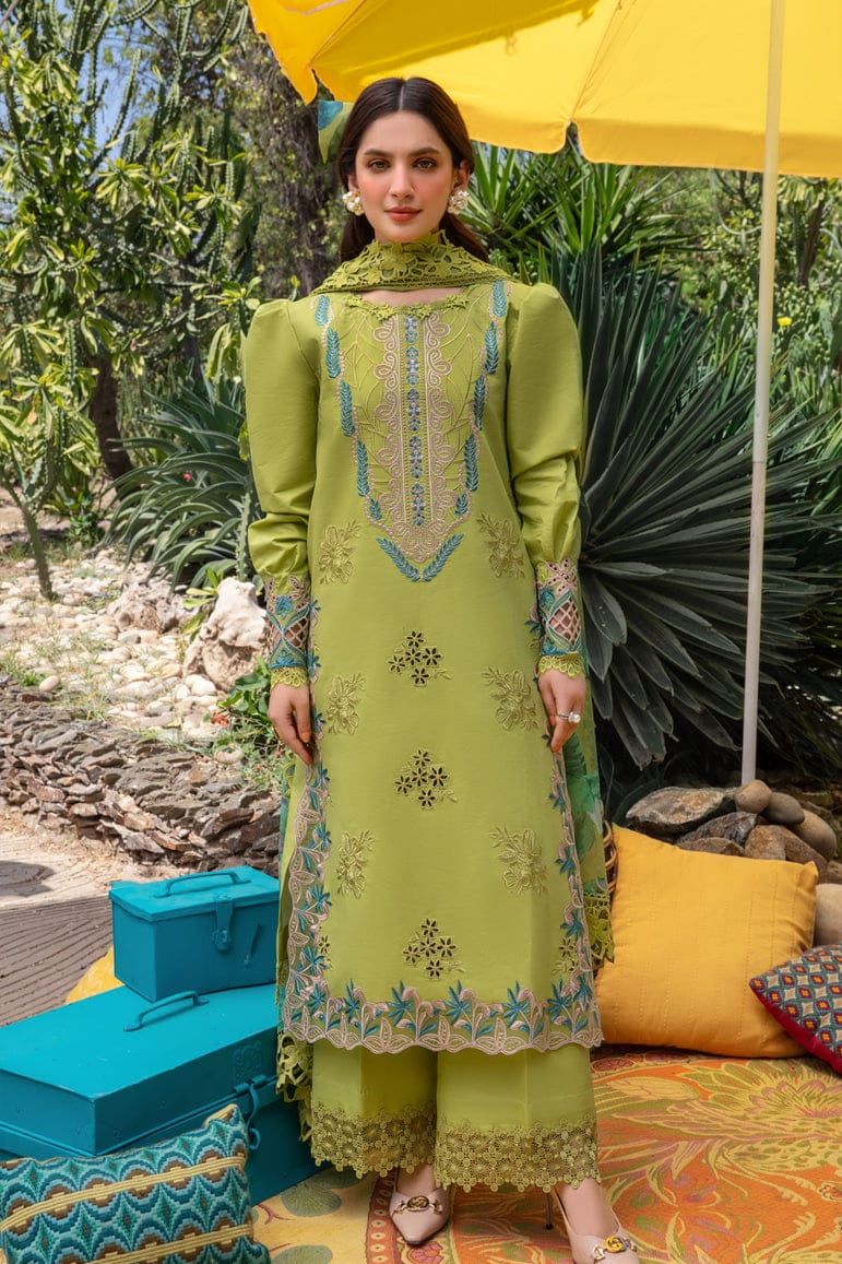 DFW-1238 Rang Rasiya Embroidery 3PC Dhanak Suit