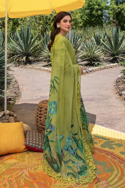 DFW-1238 Rang Rasiya Embroidery 3PC Dhanak Suit