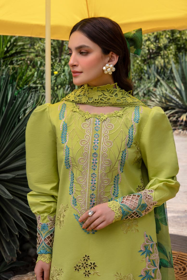 DFW-1238 Rang Rasiya Embroidery 3PC Dhanak Suit