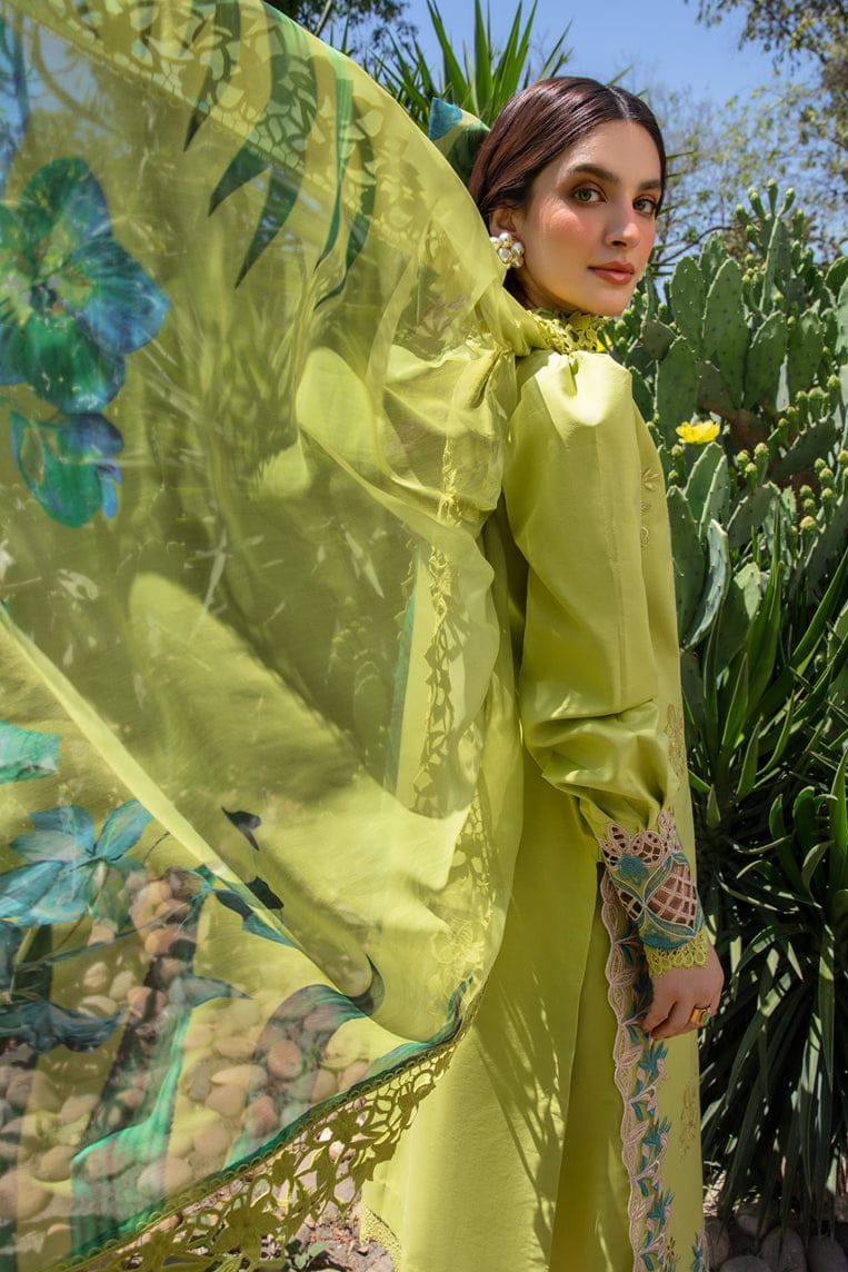 DFW-1238 Rang Rasiya Embroidery 3PC Dhanak Suit