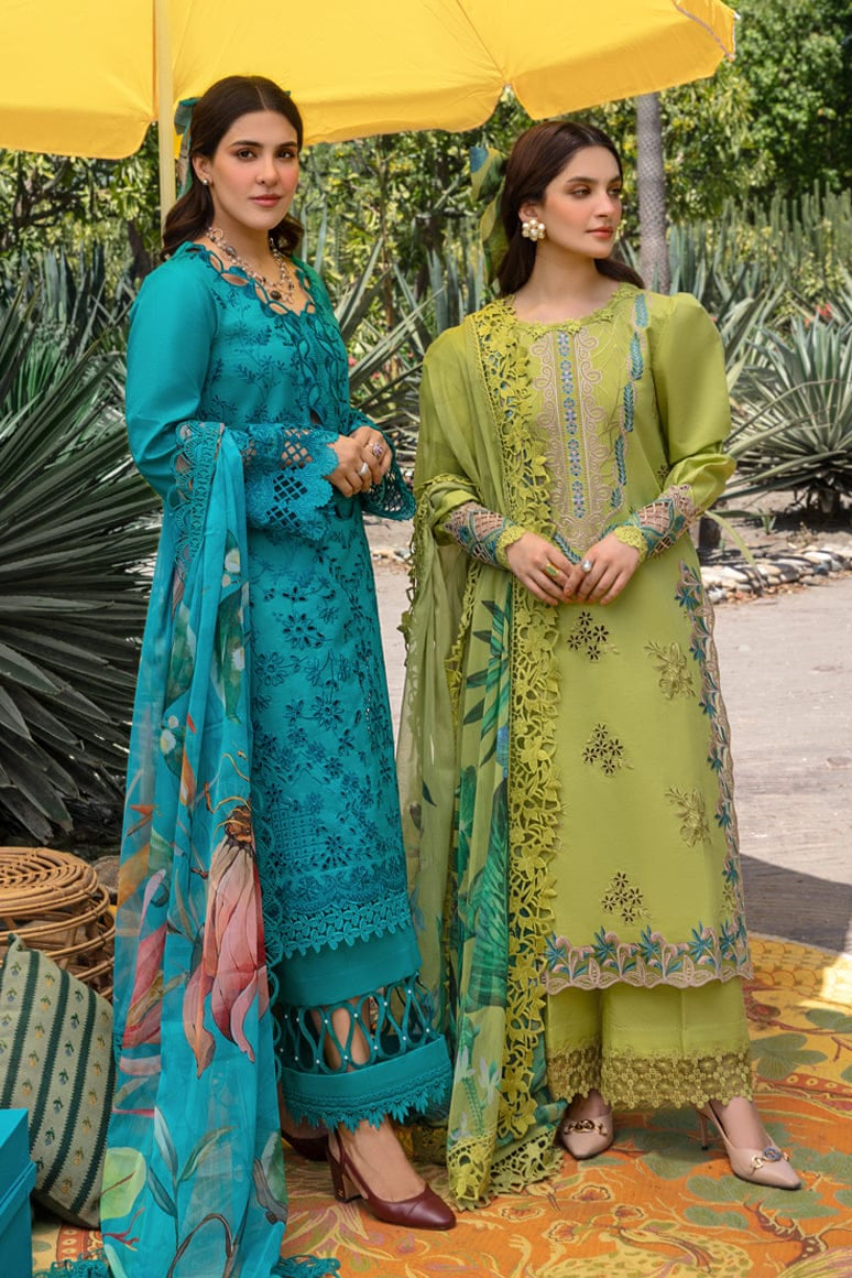 DFW-1238 Rang Rasiya Embroidery 3PC Dhanak Suit