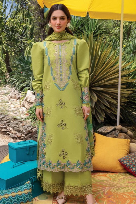 DFW-1049 Rang Rasiya Embroidery 3PC Dhanak Suit
