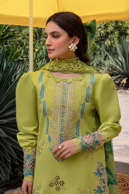 DFW-1049 Rang Rasiya Embroidery 3PC Dhanak Suit
