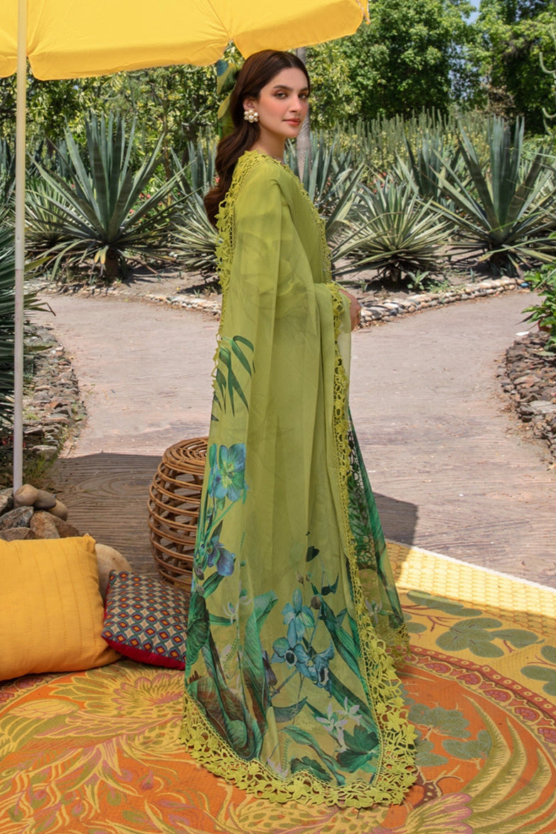 DFW-1049 Rang Rasiya Embroidery 3PC Dhanak Suit