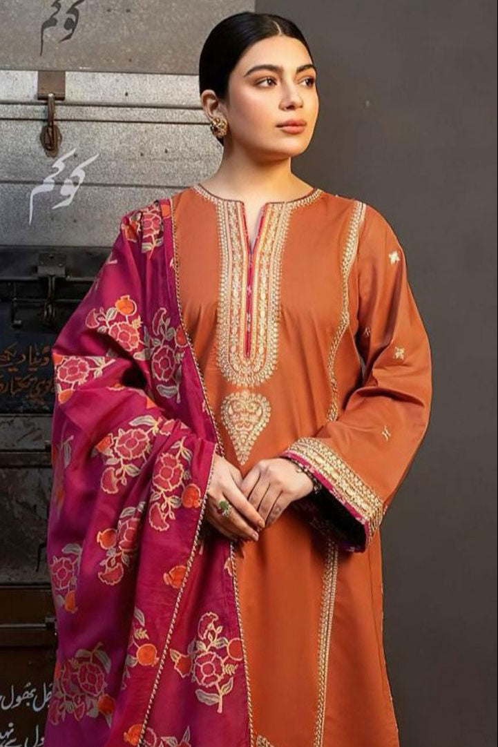 DFW-1062 Zara Shah Jahan Embroidery 3PC Dhanak Suit