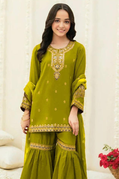 DFW-215D Maria B Heavy Embroidery 2Pc Lawn Suit