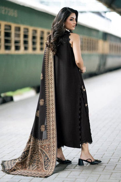 DFW-1159 Izel Heavy Embroidery 3PC Dhanak Suit