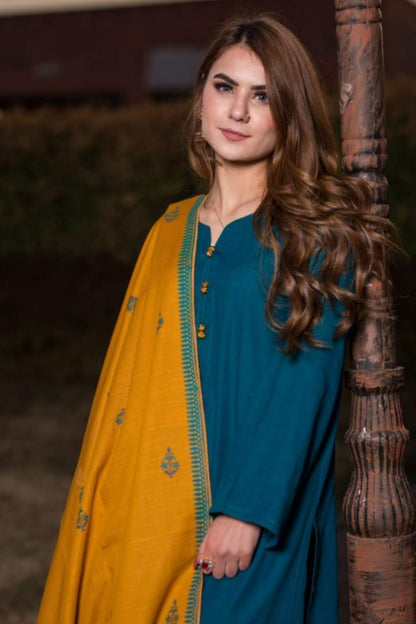 DFW-1243 ASling Embroidery 3PC Dhanak Suit