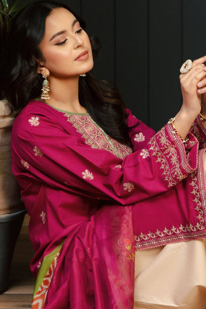 DFW-1174 Kokum Embroidery 3PC Dhanak Suit