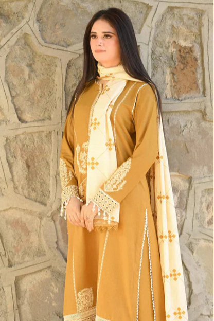 DFW-1001 A Sling Embroidery 3PC Dhanak Suit
