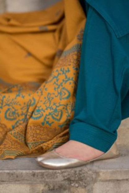 DFW-1243 ASling Embroidery 3PC Dhanak Suit