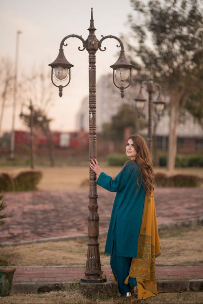 DFW-1243 ASling Embroidery 3PC Dhanak Suit