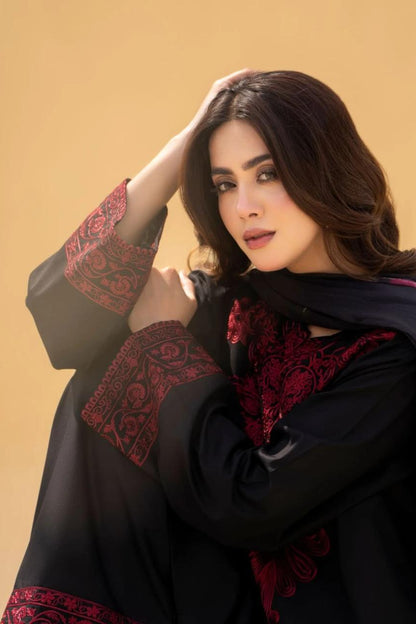 DFW-1161 Sapphire Embroidery 2PC Dhanak Suit