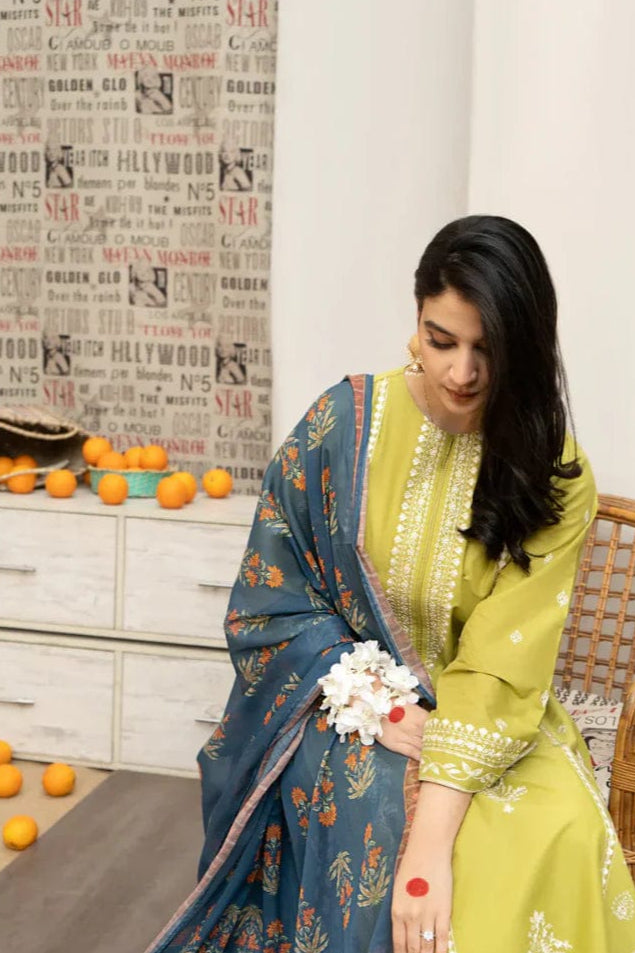 DFW-929 Urge Heavy Embroidery 3PC Dhanak Suit