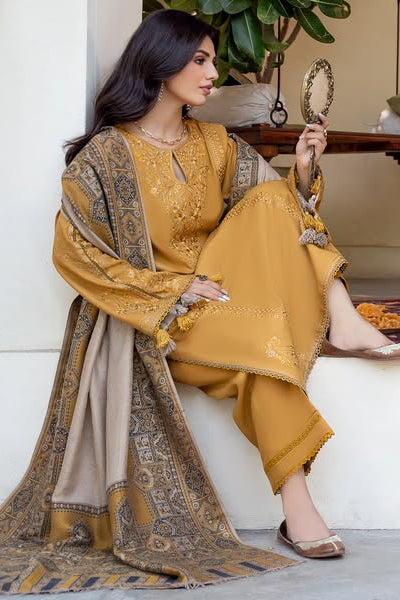 DFW-1176 Izel Embroidery 3PC Dhanak Suit