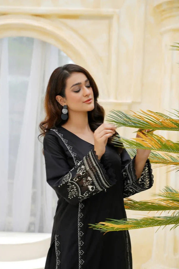 DFW-1011 Azure Embroidery 2PC Dhanak Suit