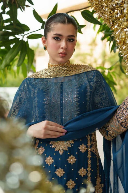DFW-1025 Rang Rasiya Heavy Embroidery 3PC Dhanak Suit