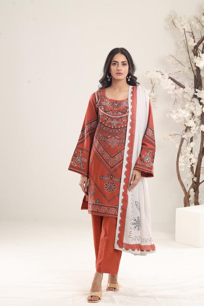DFW-1164 CoCo Heavy Embroidery 3PC Dhanak Suit