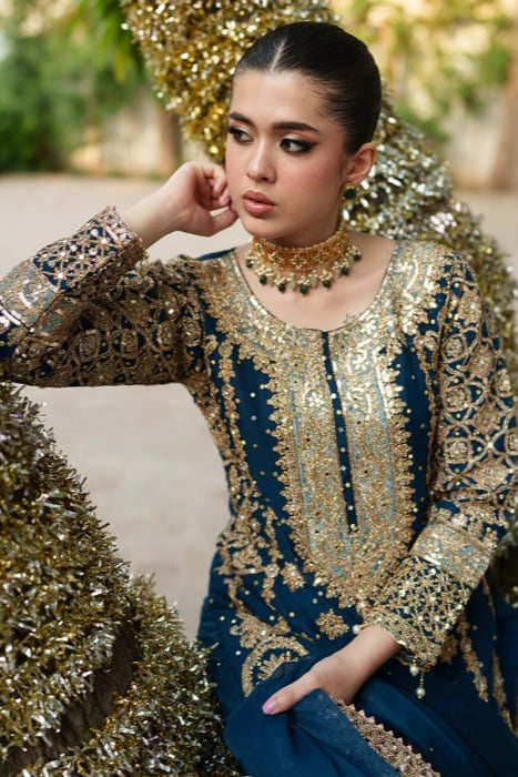 DFW-1025 Rang Rasiya Heavy Embroidery 3PC Dhanak Suit