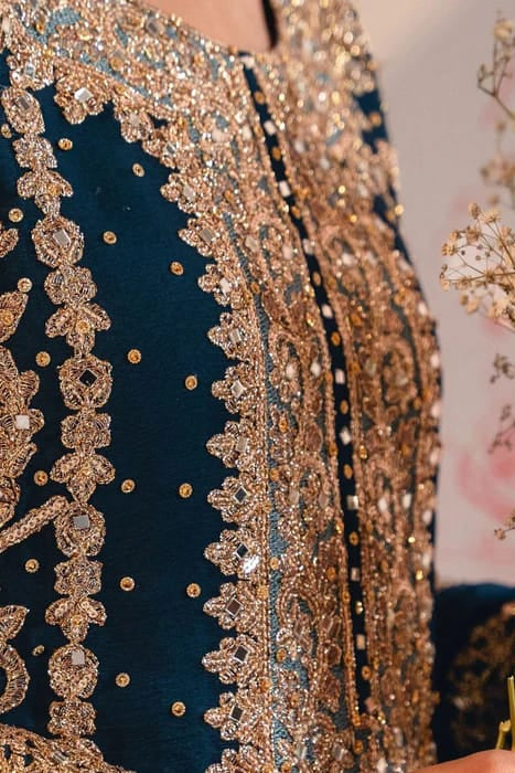 DFW-1025 Rang Rasiya Heavy Embroidery 3PC Dhanak Suit