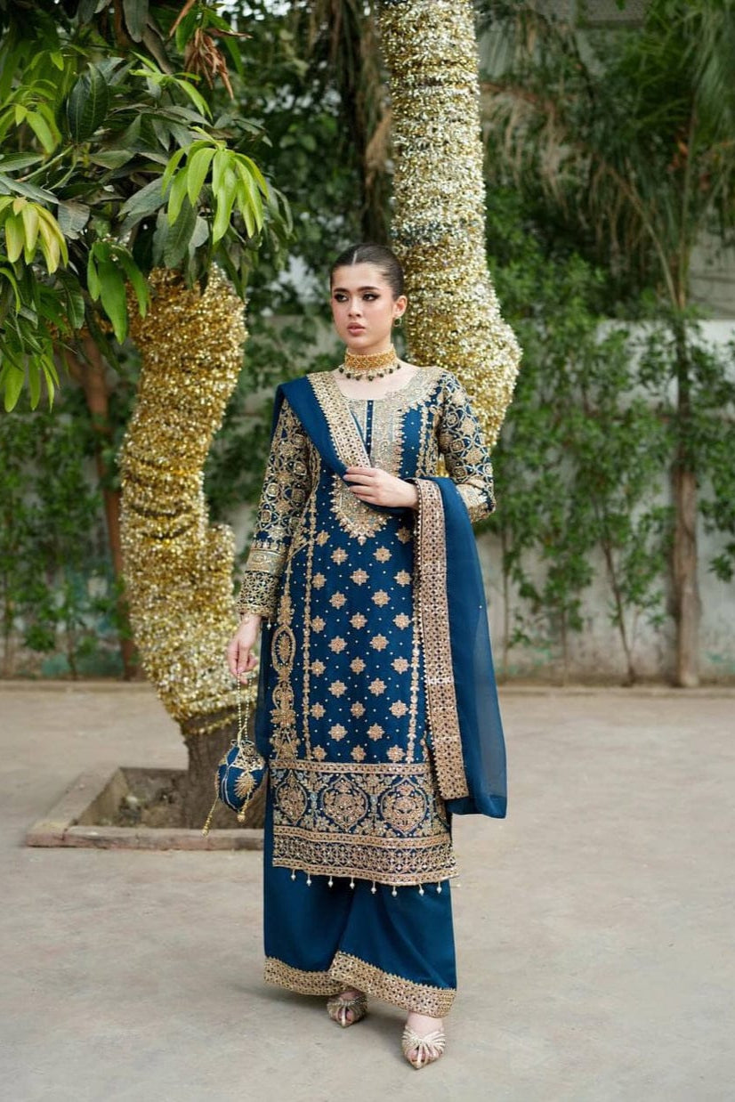 DFW-1025 Rang Rasiya Heavy Embroidery 3PC Dhanak Suit
