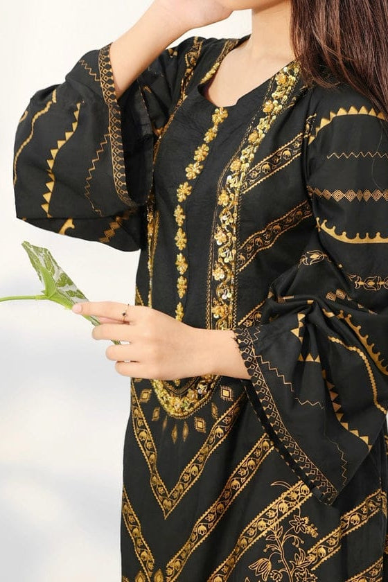 DFW-1346 Laam Embroidery 2PC Lawn Suit