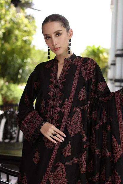 DFW-1027 Bareeze Heavy Embroidery 3PC Dhanak Suit