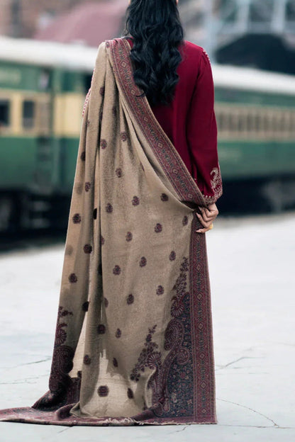 DFW-1028 Izel Embroidery 3PC Dhanak Suit