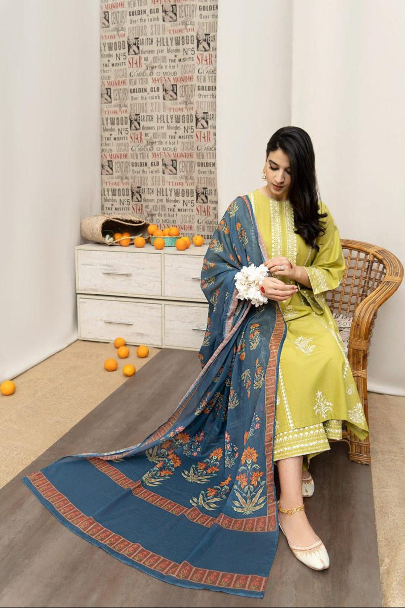 DFW-1166 Urge Heavy Embroidery 3PC Dhanak Suit