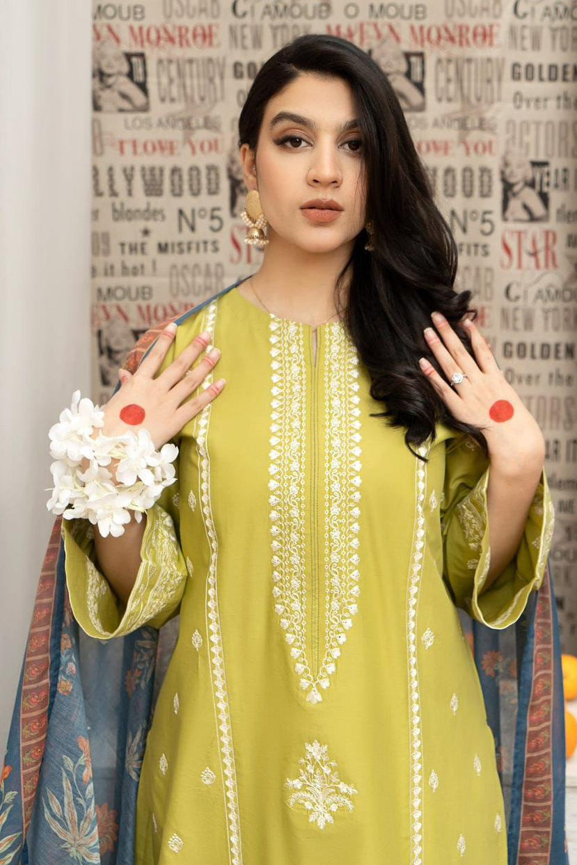 DFW-1166 Urge Heavy Embroidery 3PC Dhanak Suit