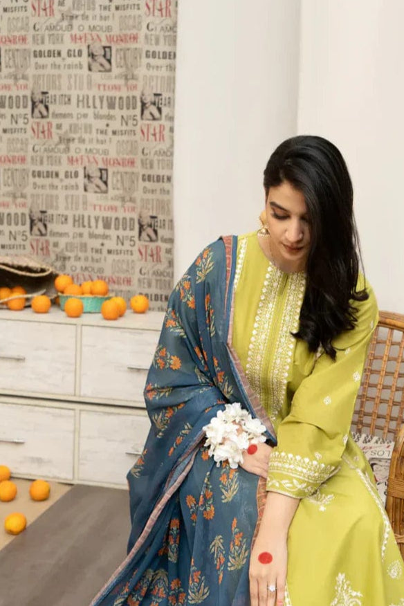 DFW-1029 Urge Heavy Embroidery 3PC Dhanak Suit