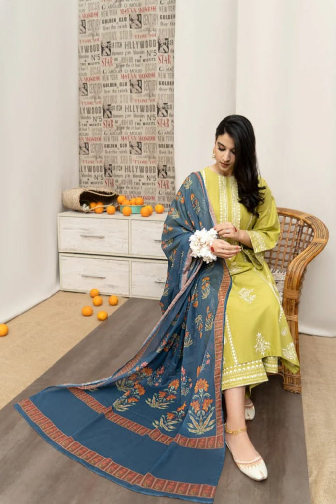DFW-1029 Urge Heavy Embroidery 3PC Dhanak Suit