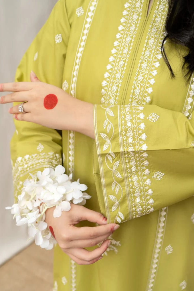DFW-1029 Urge Heavy Embroidery 3PC Dhanak Suit