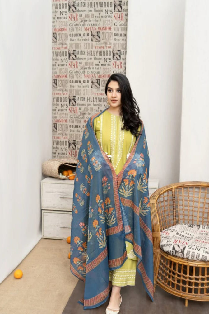 DFW-1029 Urge Heavy Embroidery 3PC Dhanak Suit