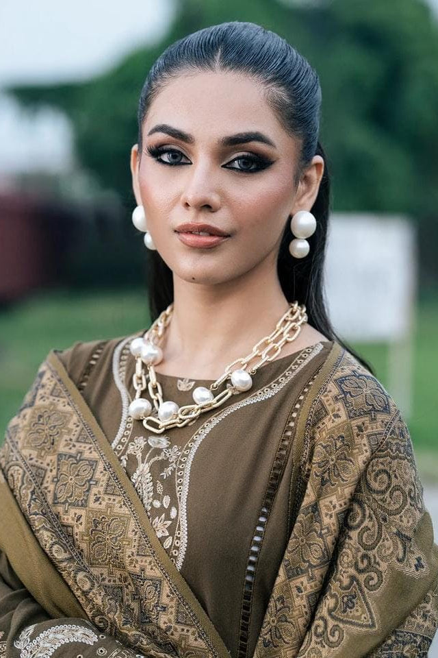 DFW-1254 Sapphire Embroidery 3PC Dhanak Suit